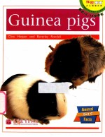 Guinea  Pings