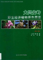 大兴安岭野生经济植物原色图鉴  第2卷 = Color atlas of wild economic plant in Great Khingan Range