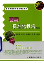 葡萄标准化栽培