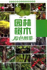 现代珍稀植物及食用菌图鉴系列  园林树木原色图鉴