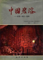 中国岩溶  景观·类型·规律