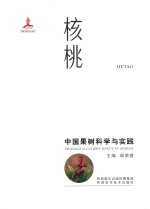 中国果树科学与实践  核桃